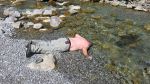 Gr_Walsertal_AS_2025-001 (22)